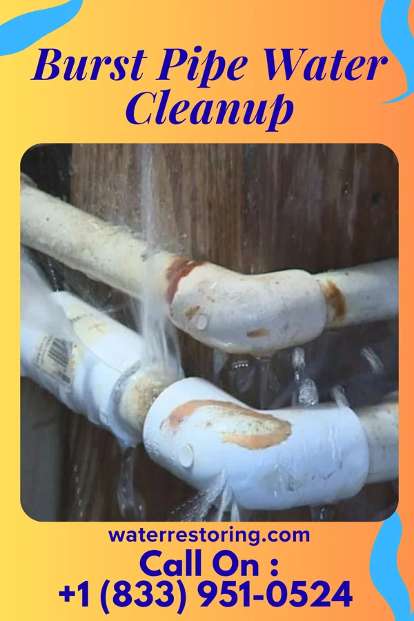Burst Pipe Water Cleanup in Hopedale, OH