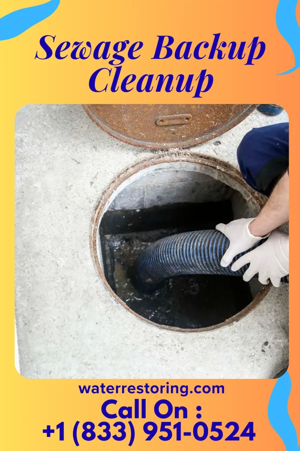 Sewage Backup Cleanup in Hopedale, OH