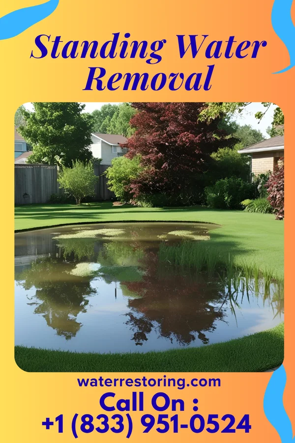 Standing Water Removal in Hopedale, OH